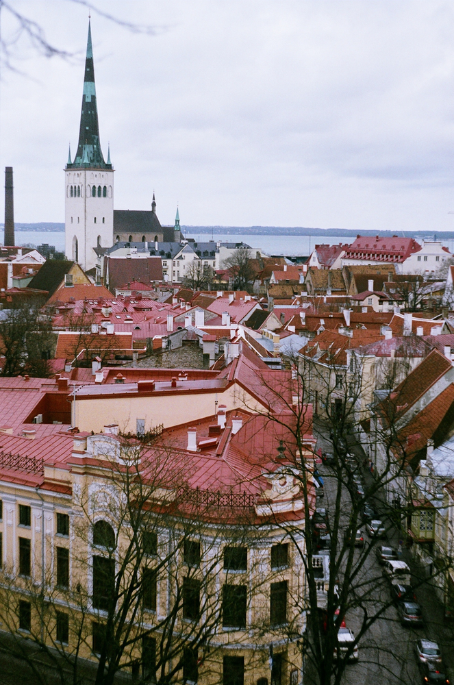 Aprire una società in Estonia